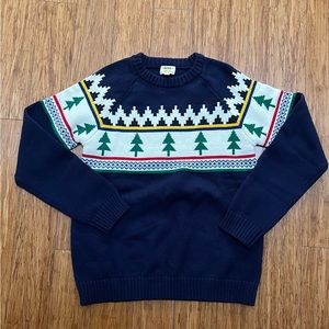 Boy holiday sweater